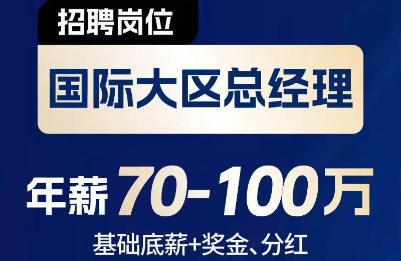 聚焦全球战略  赋能人才腾飞远大智能博林特电梯2025全球招聘